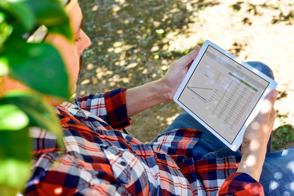 person holding tablet in orchard, Agrisoft dashboard for Agribusiness applications